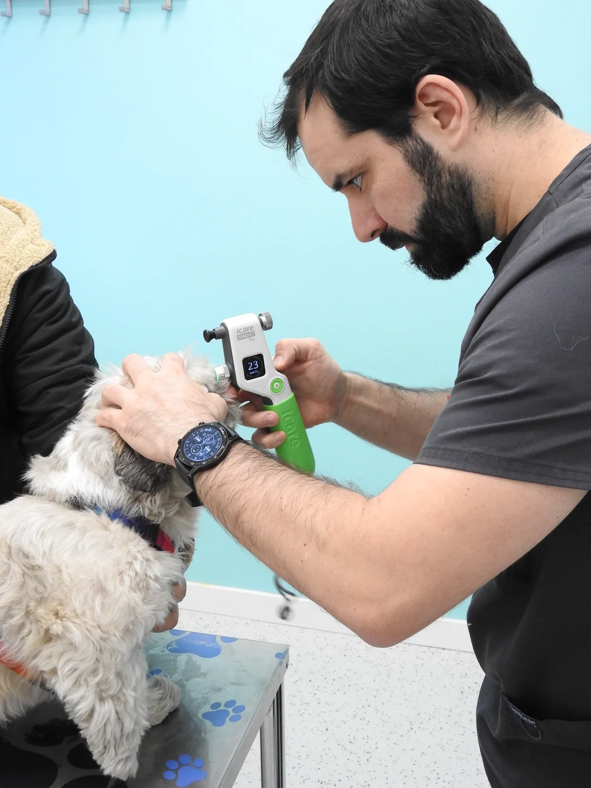 Darío García Puente realizando una tonometría ocular a un perro en Huellas Veterinaria Salamanca